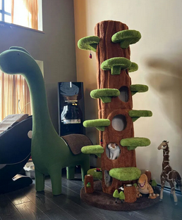 Foto da avaliação Carlos 1